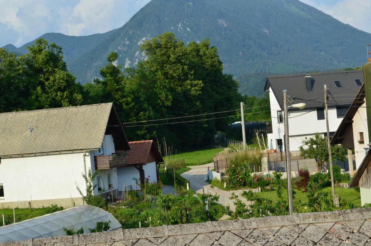 Pr'Jernejc Agroturism Villa Lesce  Exterior photo
